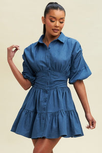 Mischa Denim Dress